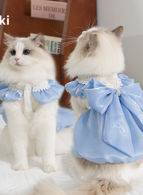 小猫小狗衣服春夏薄款赫本风公主裙子泰迪比熊小型犬宠物猫衣服