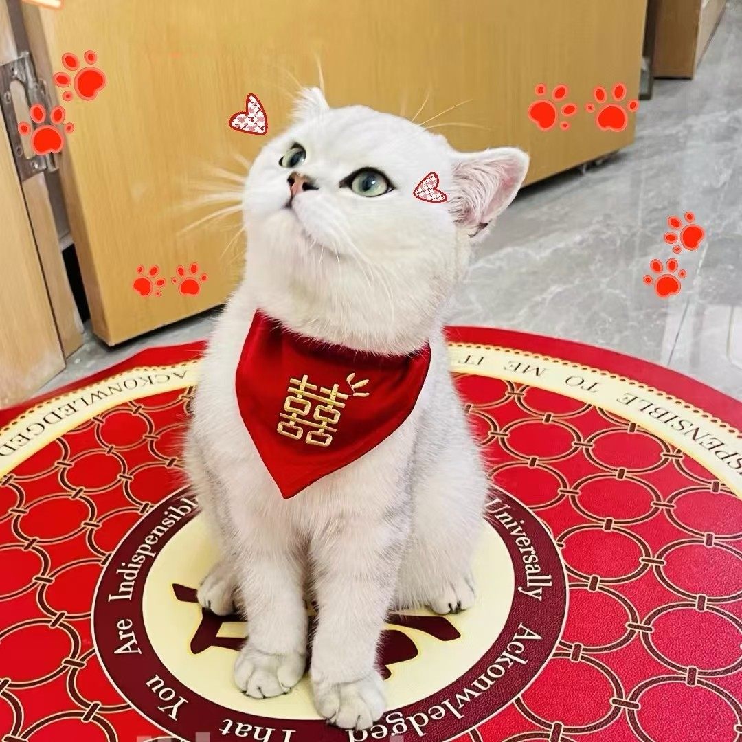 宠物口水巾狗狗婚礼领结新年装饰猫咪衣服伊丽莎白圈围脖结婚喜服,节庆用品/礼品,婚房装扮用品,淘宝优惠券,粉丝福利购,淘宝优惠卷