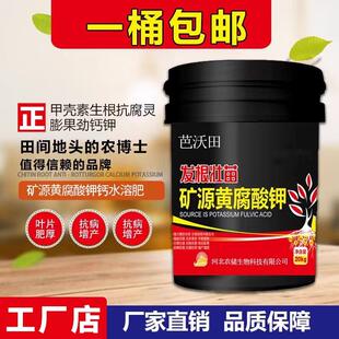 黑金矿源黄腐酸钾水溶肥料高钙高钾生根彭果壮苗有机水溶肥冲施肥