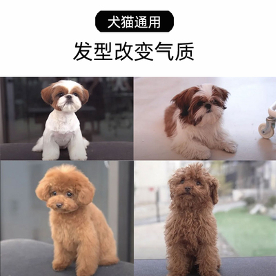 宠物美容剪刀狗狗剪毛工具套装专业修毛剪狗毛弯剪子泰迪小弯剪刀
