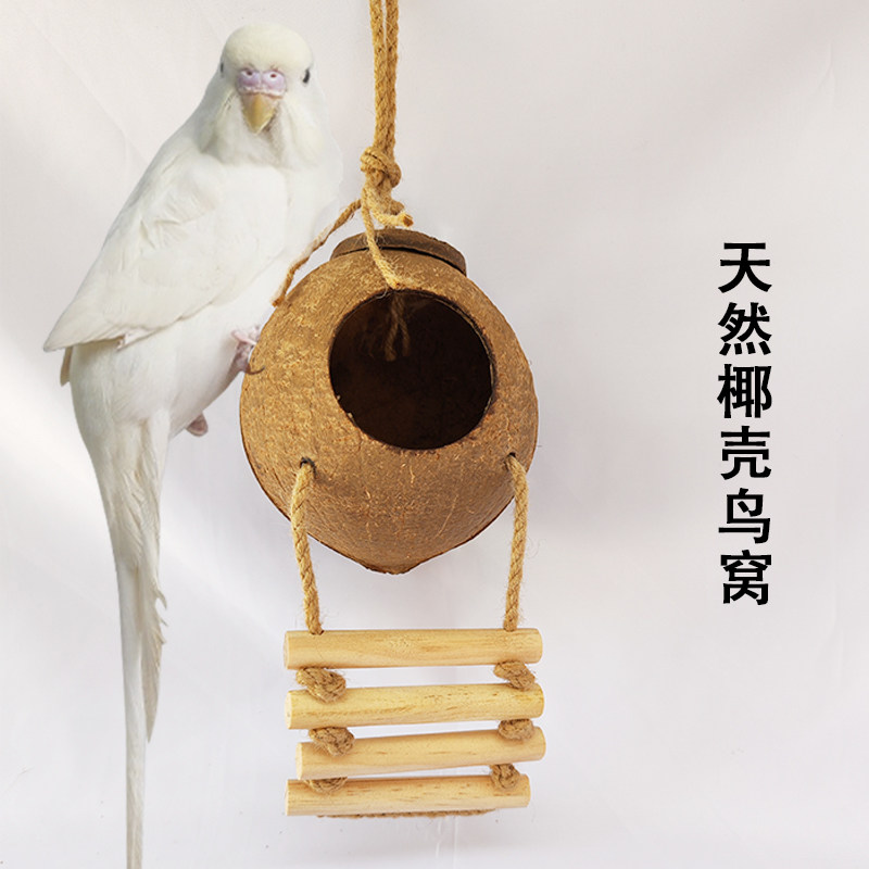 鹦鹉窝鸟巢玄凤虎皮珍珠鸟窝椰子椰壳鸟窝玩具用品繁殖窝鸟笼挂窝,宠物/宠物食品及用品,鸟窝,淘宝优惠券,粉丝福利购,淘宝优惠卷