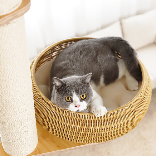 猫爬架猫窝猫树一体藤编猫窝实木通天柱不占地DIY猫别墅城堡柱子