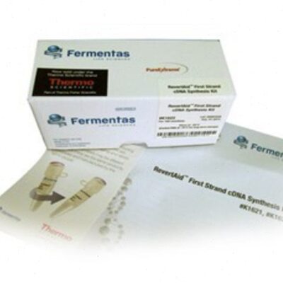 RT逆转录试剂盒 K1622 100T Fermentas/MBI