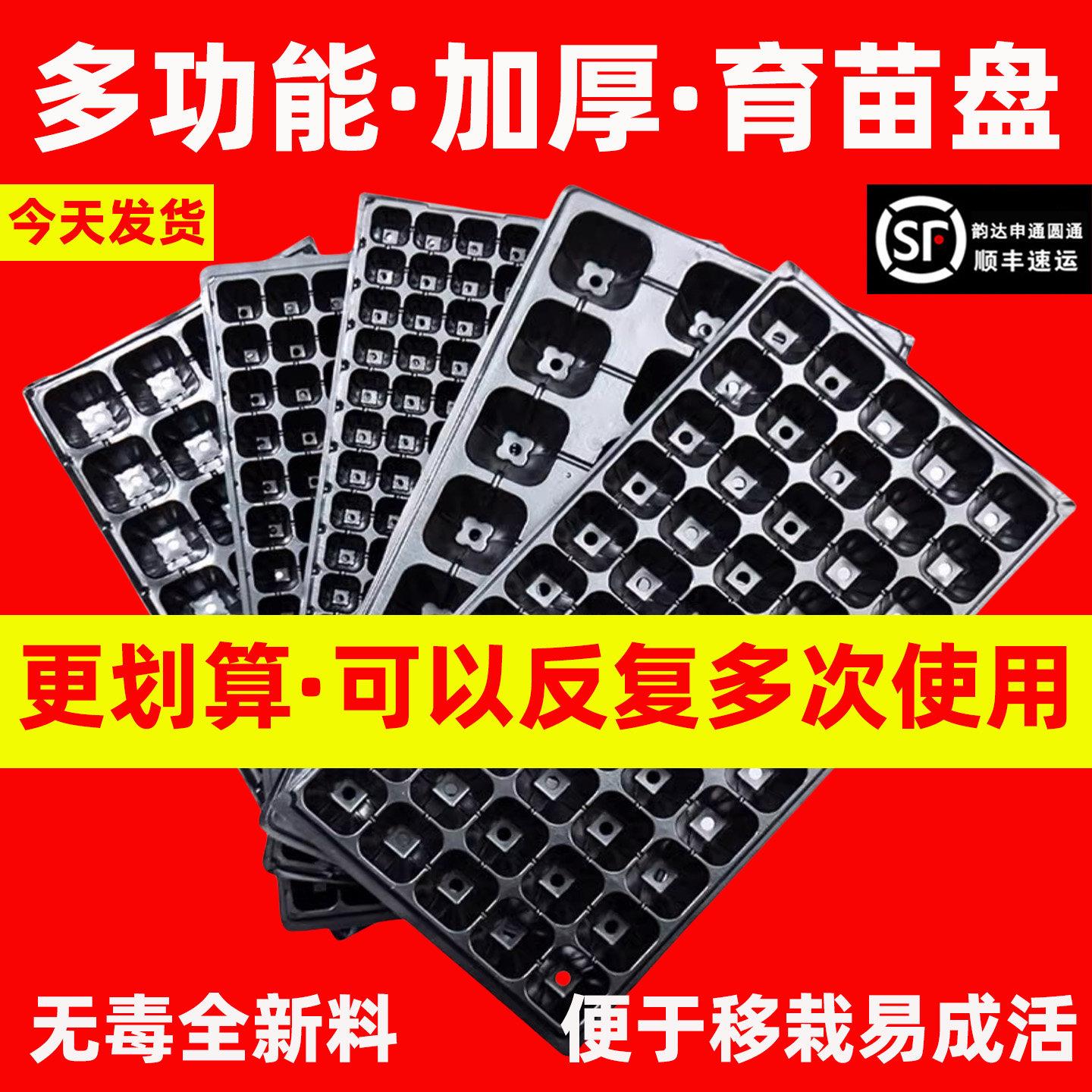 育苗盘托盘穴盘加厚西瓜玉米辣椒西红柿蔬菜幼苗培育盆扦插塑料杯