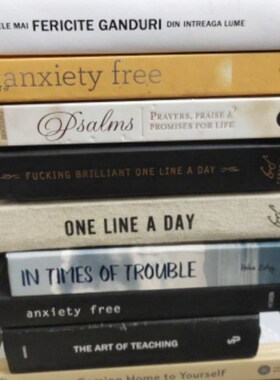 简约现代装饰真书板房装饰别墅书房售楼处陈列摆件随机发