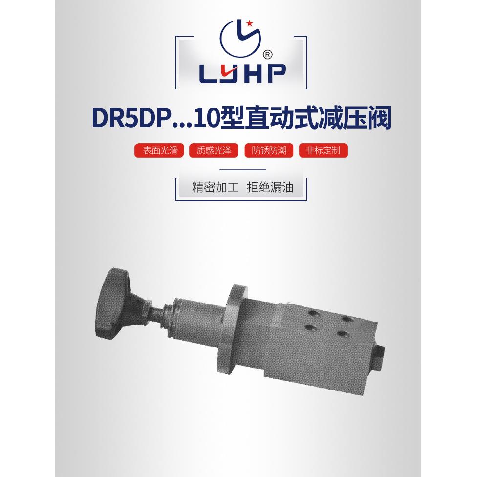 隆源厂家供应DR5DP...10型直动式减压阀量大从优手动柱塞式减压阀