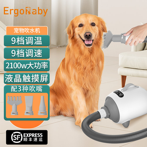 宠物吹水机家用吹风猫咪狗狗烘干机大型犬专用洗澡吹毛神器