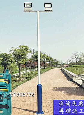 篮球场灯杆灯具篮球场LED投光灯 6米8米篮球场专用照明室外高杆灯