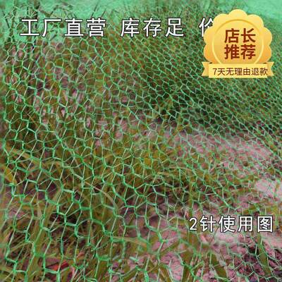 小顺子绿化U网工程防尘的绿网子用绿网地面细孔绿化覆盖施工盖土