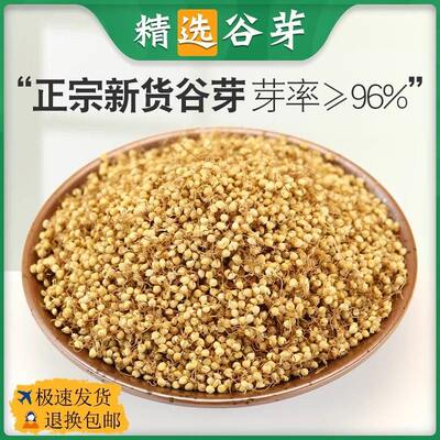 材炒麦芽500g熟有生茶谷稻