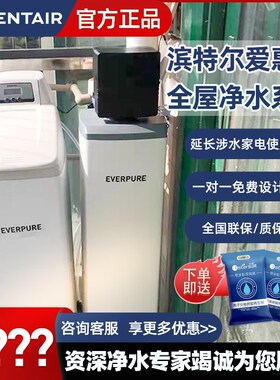 爱惠浦软水全屋净水系统中央净水商用型滨特尔