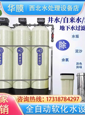 软化设备全自动水处理工业商用软水机去离子水去泥沙水垢净水器