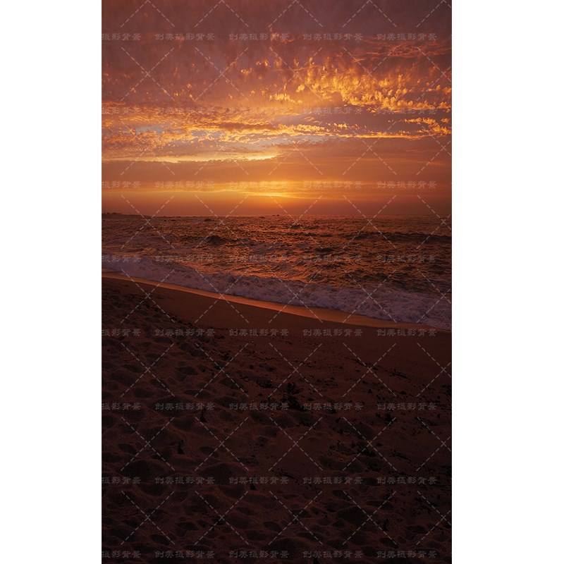 影楼大海沙滩金色夕阳室内拍照背景布复古港风日落海景摄影背景纸