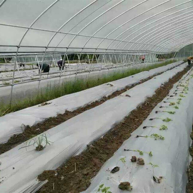 农用黑地膜除草膜防虫银黑地膜到米宽公斤除草防虫反光上色,农机/农具/农膜,农用薄膜,淘宝优惠券,粉丝福利购,淘宝优惠卷