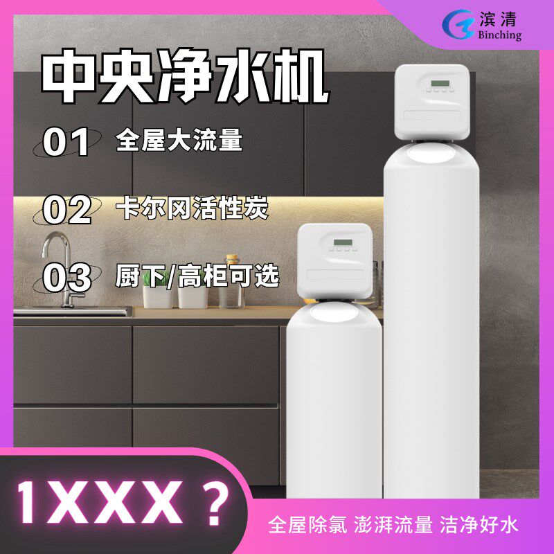 滨家用中央净水机吨.吨 厨下全屋净水机 除余氯杂质