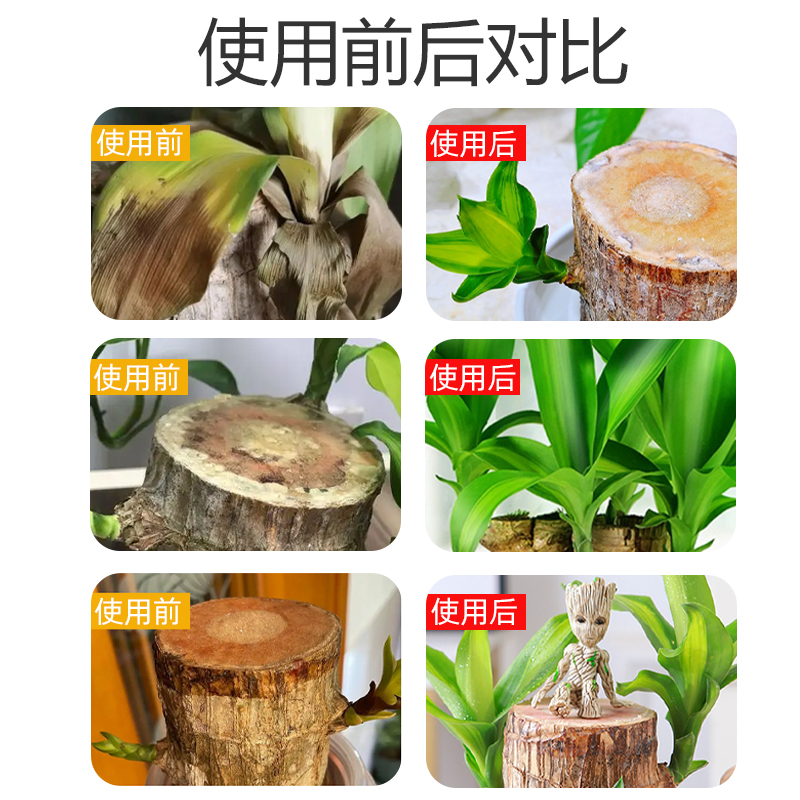 巴西木专用营养液多肉优芽素月季花三角梅的植物土壤活化剂金钱树
