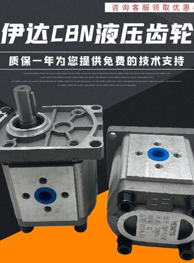 齿轮液压油泵总成CBT-F310 CBN-F304/F306/F316/E314/320/325FER2