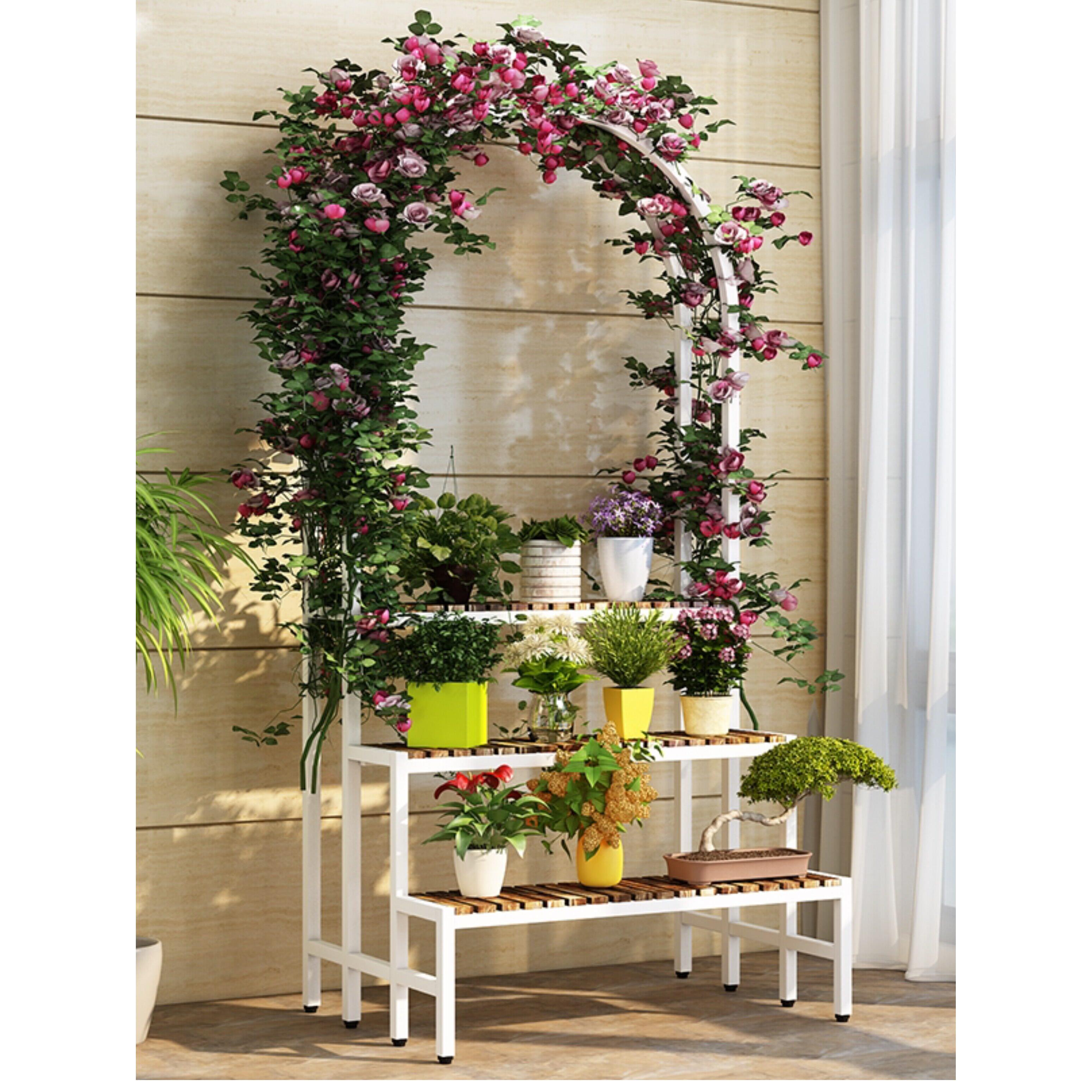 阳台花架储物架锻铁室外庭院爬藤多肉架蜘蛛兰花室内客厅落地式植