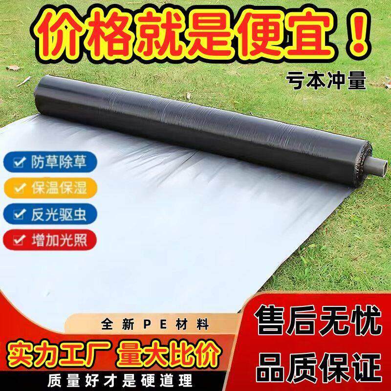 银黑农用地膜除草膜加厚反光膜专用保温果园蔬菜银黑蔬菜支持定制