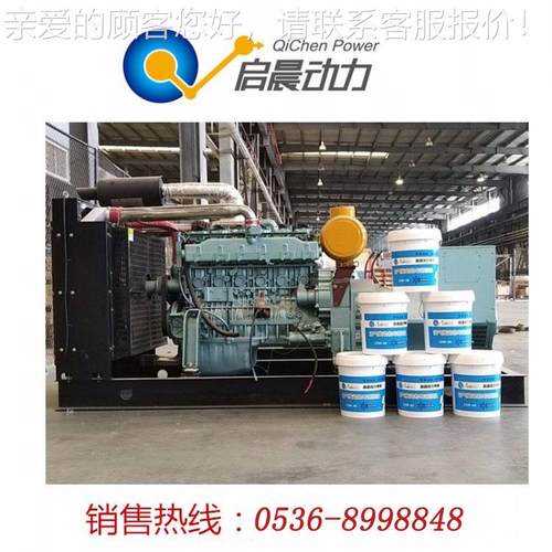 千瓦沼气发电机组天电然电气发机组小时无运行足功率纯铜刷机