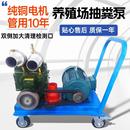 跨境养殖场无堵塞抽粪泵池塘清淤污水泵外贸工厂下水道吸污泵