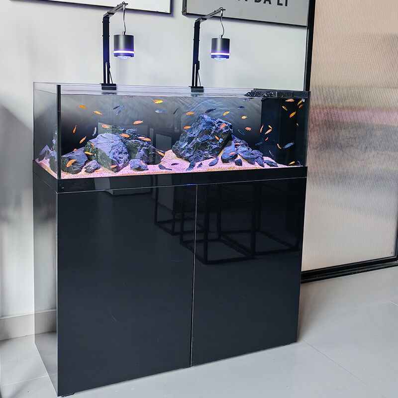 迪顺原生野采溪流缸三湖慈鲷鱼缸2024新款客厅超白造景底滤水族箱