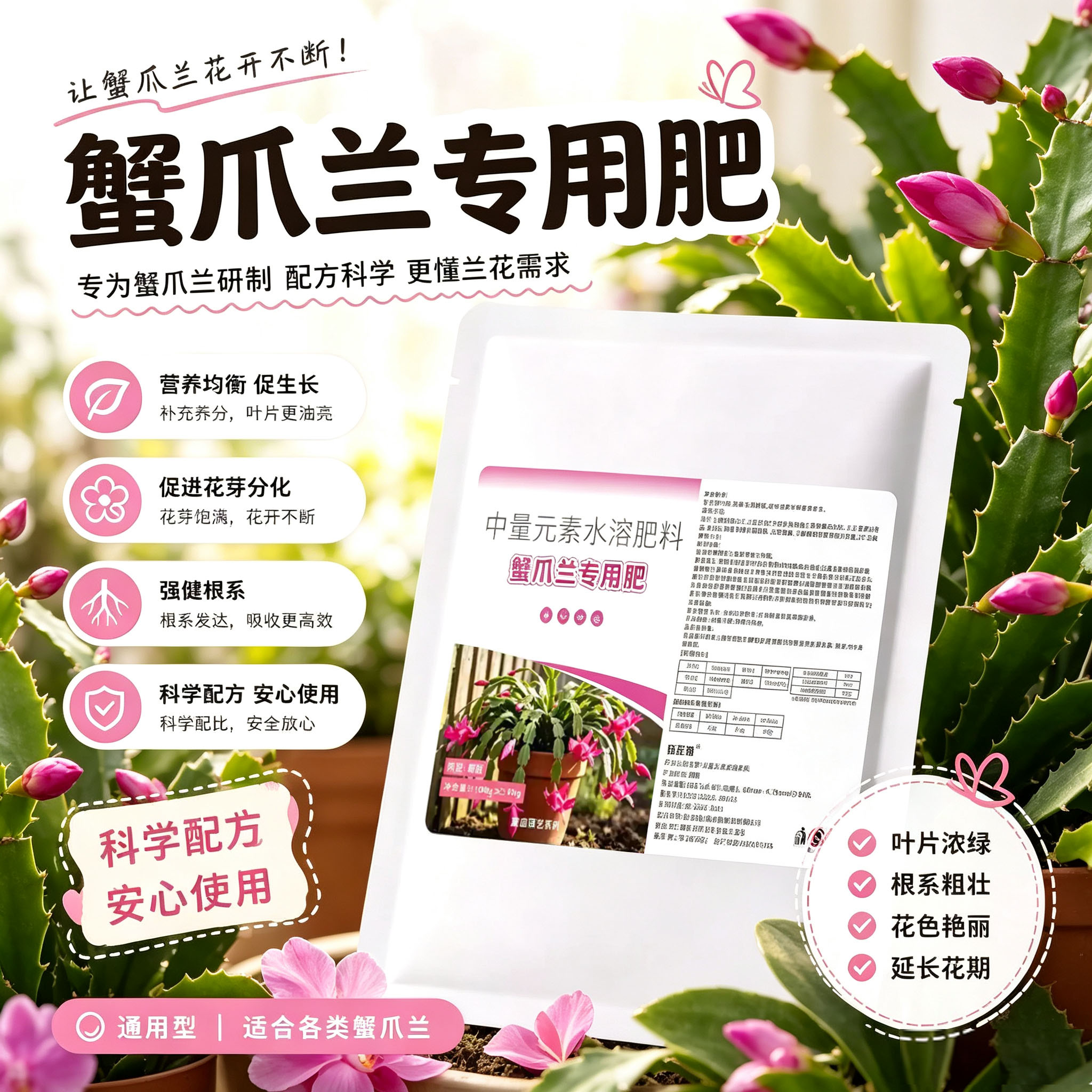 蟹爪兰肥料专用肥蟹爪莲盆栽