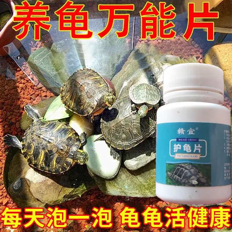 护龟片乌龟厌食净化水质水质改善