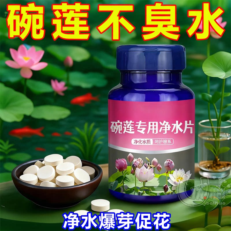 碗莲水培净水片防黑叶促根延花