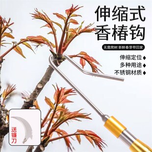 摘香椿钩子伸缩杆多功能槐花钩不锈钢抄网杆钓鱼S割草神器榆钱钩