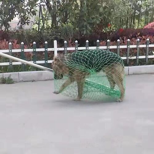 加粗捕狗网兜捕逮捉工具流浪犬y抓捕网流浪狗猫捕器带网兜防暴钢