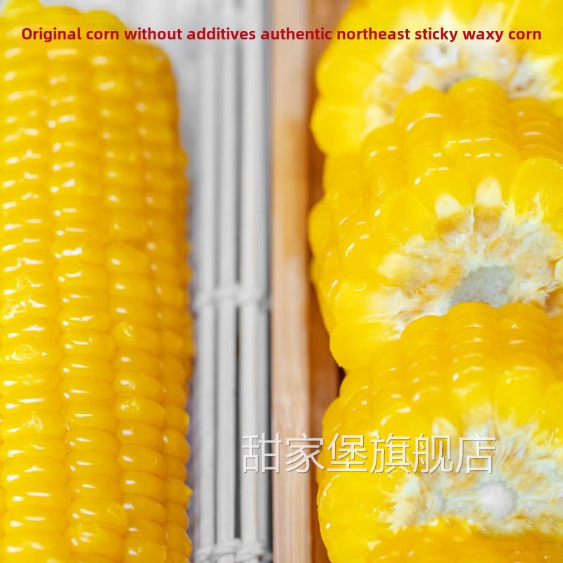 东北甜糯黄玉米鲜大棒非转基因糯玉米杂粮主食代餐玉米真空包装