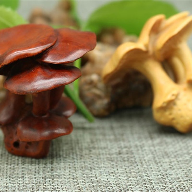 陈雕匠小叶黄杨木雕刻室内灵芝文玩手把件工艺品摆件挂件蘑菇