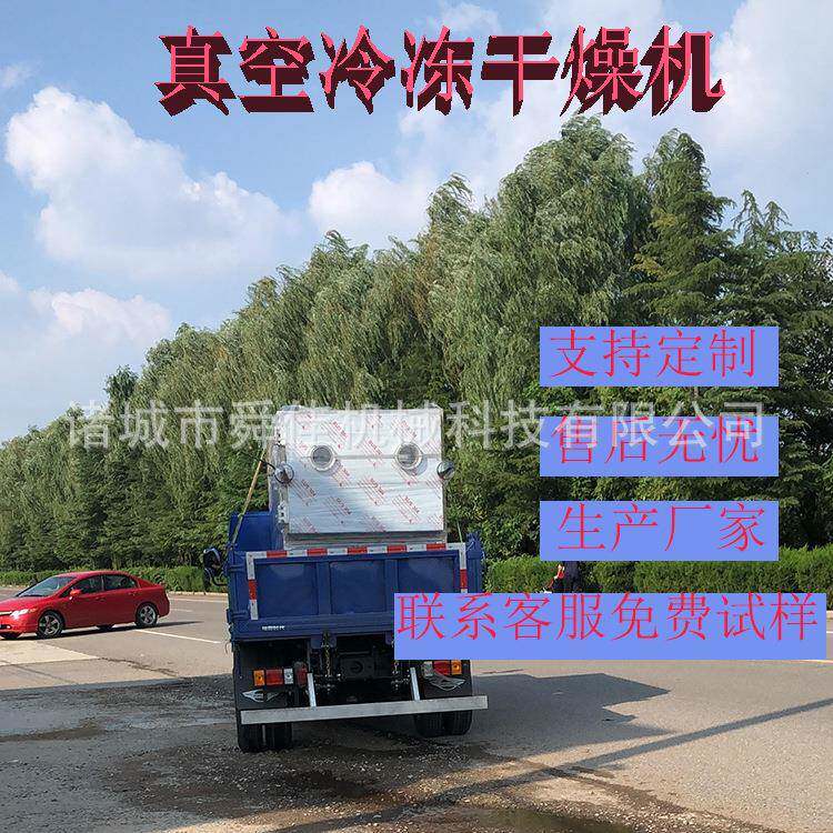 乳品冻干机马奶牛奶低温真空冻干机羊奶酸奶真空干燥机