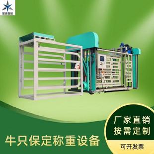 保定稱重智能牛只養(yǎng)殖管理設(shè)備全自動(dòng)化廠家直銷固定架稱重分群