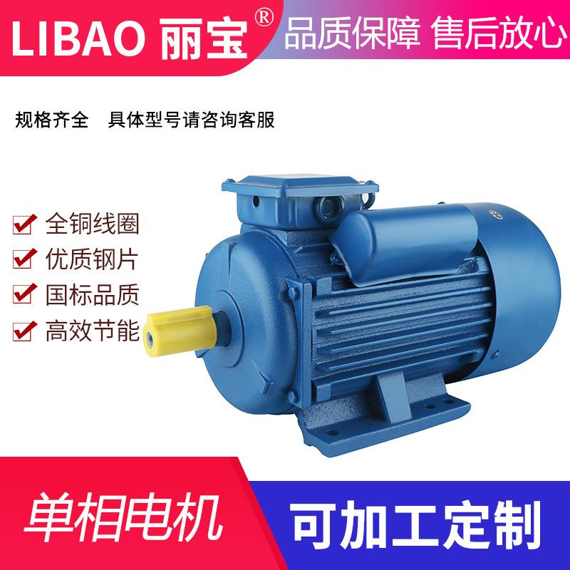 单相大马力电机220V小型2.2/3.0/4.0W两项铜线电动机单项马达