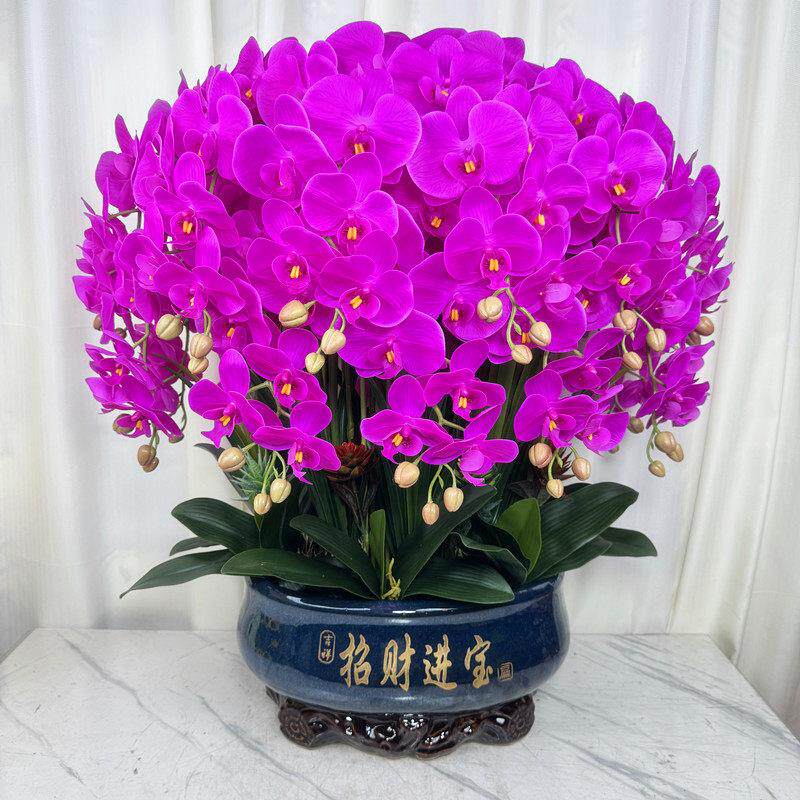 蝴蝶兰仿真花客厅高档花过胶手感保湿花大厅摆假花蝴蝶兰超大盆花