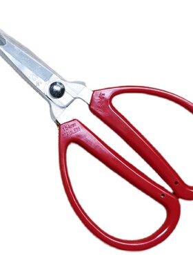 汪吾铨剪纸专用剪刀特尖特细剪窗花不锈钢艺术手工工具尖头小剪子