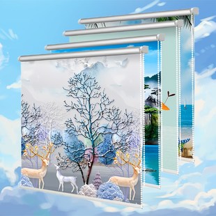 厨房家用简易窗帘卷拉式全遮光2024新款厕所伸缩卷轴画卷帘拉绳款