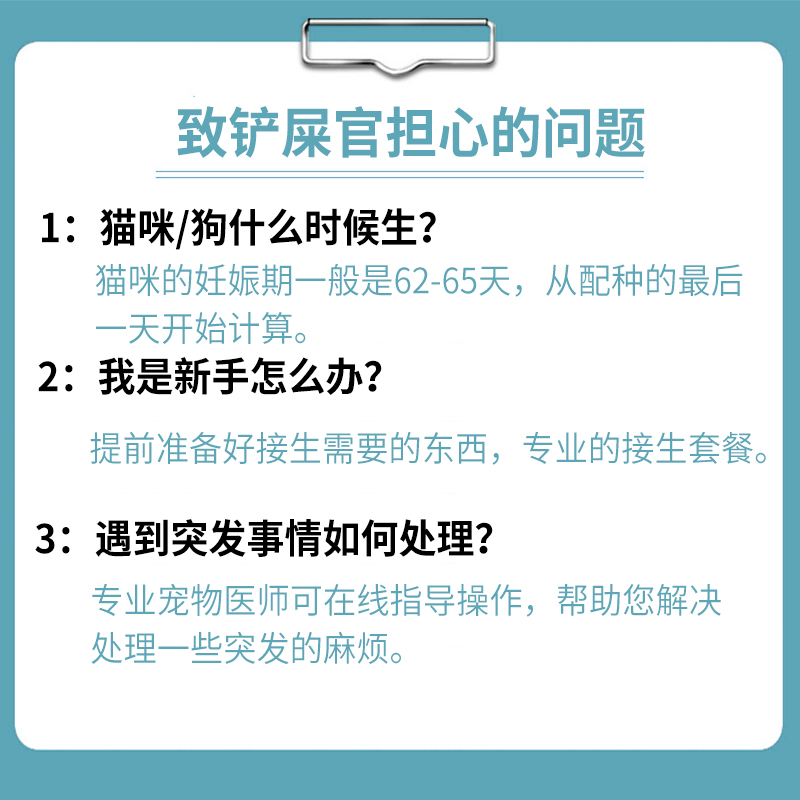 猫咪接生工具生产套装宠物待产包生育用品狗狗全套吸羊水器止血钳