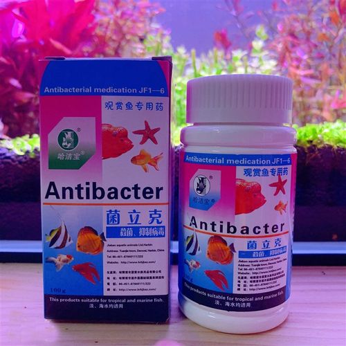 罗汉鹦鹉鱼头洞病鱼药菌立克充血白点烂腮药烂鳍白毛鱼缸杀菌消毒