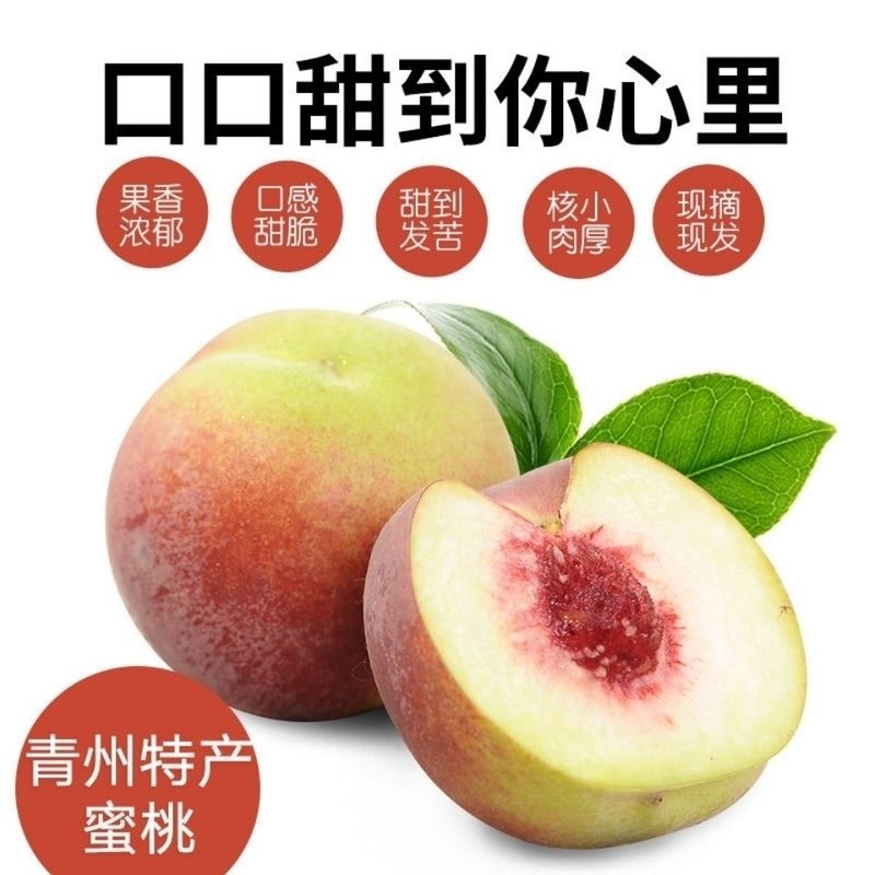 山东青州蜜桃青皮桃子当季现摘脆桃新鲜冬桃甜桃蜜桃毛桃孕妇水果