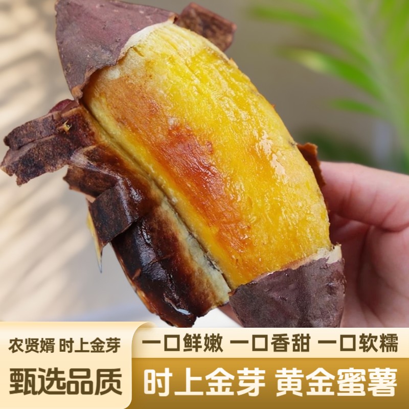 农贤婿时上金芽云南榴莲蜜薯软糯香甜新鲜番薯红薯地瓜蒸煮烤粗粮