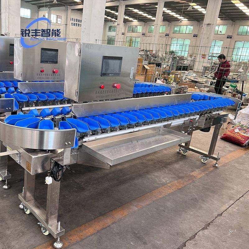 海产品高精度自动分选机竹节虾海参鲍鱼对虾小龙虾生蚝海蛎子分拣,清洗/食品/商业设备,肉制品加工设备,淘宝优惠券,粉丝福利购,淘宝优惠卷