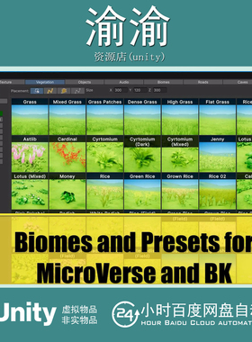 Unity Biomes and Presets for MicroVerse BK 1.7.0 扩展