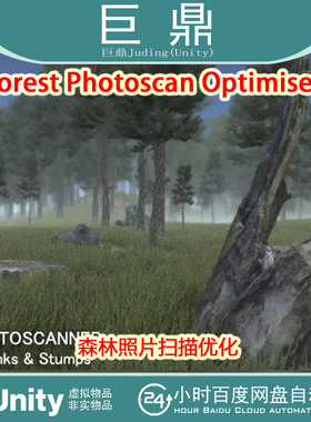 Unity Forest Photoscan Optimised 1.7森林树干树桩蘑菇扫描优化