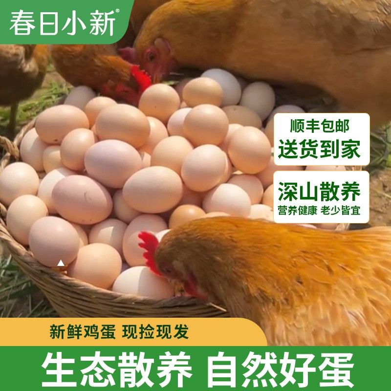 初生蛋春日小新开窝蛋新鲜宝宝爱吃健康小颗营养