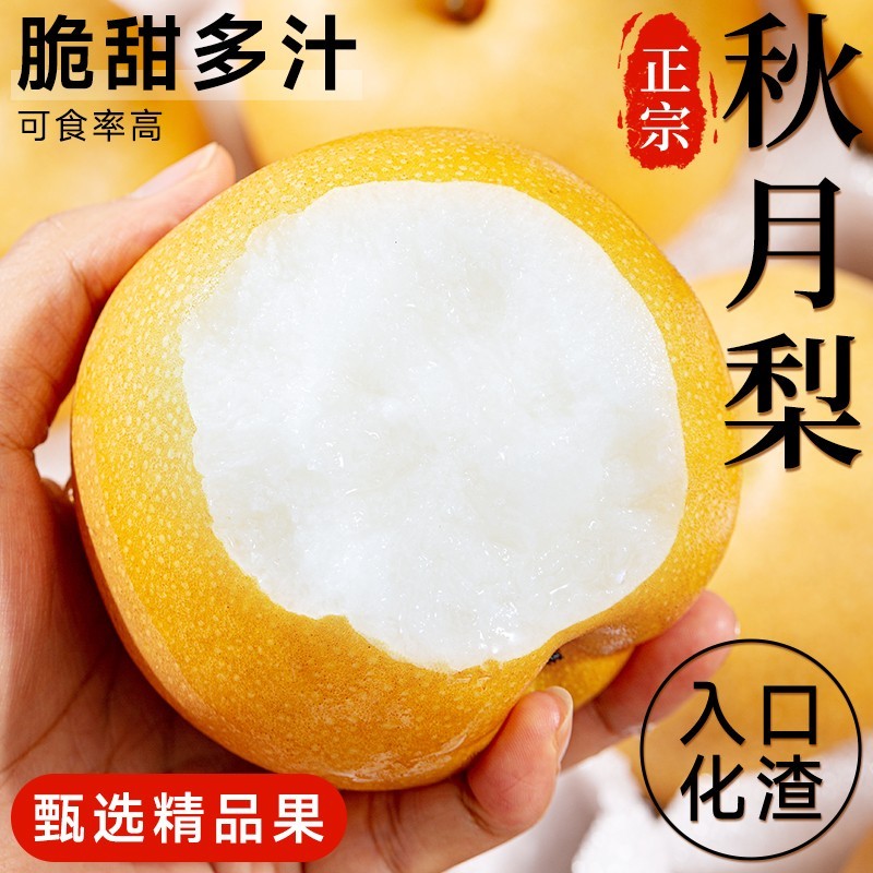 2026山东正宗秋月梨水果新鲜自然熟黄皮梨子树上生长脆甜多汁