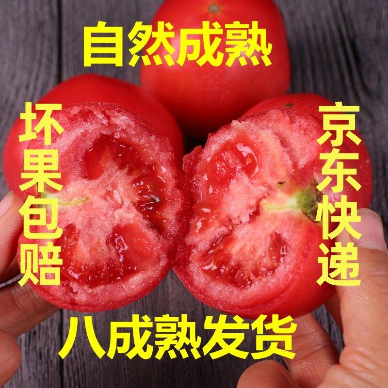 京东山东新鲜普罗旺斯水果西红柿自然熟沙瓤爽口多汁3/4.5/9斤
