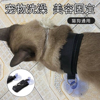 宠物洗澡固定器剃毛拴狗绑狗绳美容桌吊绳猫咪洗澡神器牵引绳吸盘